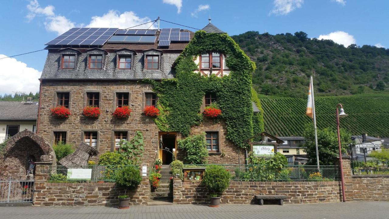 Appartement Weingut -1869- Brunnenhof à Hatzenport Extérieur photo